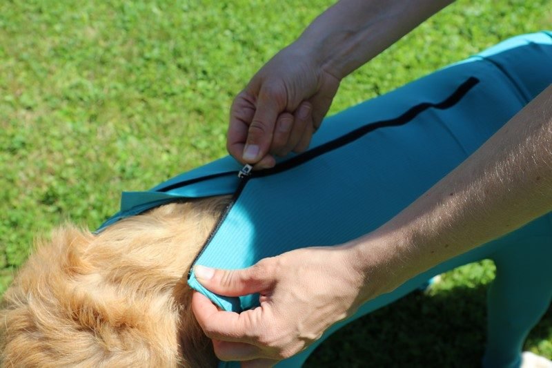 VetMedCare Hundebody mit Reißverschluss und vier Läufen