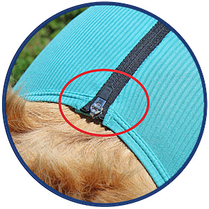 Dog bodysuit | pet shirt with legs + zipper | dog full body medical pet coat / jacket / recovery vest | VetMedCare® 18 Put the zip-attacker in this position, so it cannot open!