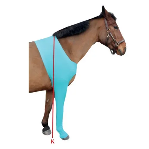 Pferd Beinschutz Vorne | Maßtabelle