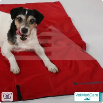 Animal Pad | highly insulating dog blanket red/black - also for the dog bed and car | VetMedCare® 20 Animal Pad | highly insulating dog blanket red/black - also for the dog bed and car | VetMedCare®