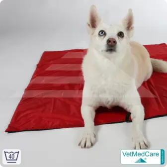 Animal Pad | highly insulating dog blanket red/black - also for the dog bed and car | VetMedCare® 19 Animal Pad | highly insulating dog blanket red/black - also for the dog bed and car | VetMedCare®