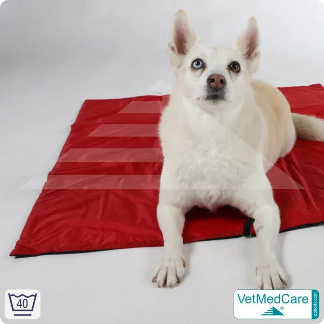 Animal Pad | stark isolierende Hundedecke Rot/Schwarz - auch für das Hundebett und Auto | VetMedCare®