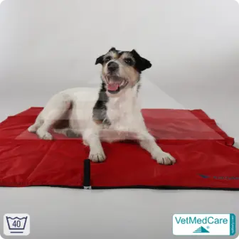 Animal Pad | highly insulating dog blanket red/black - also for the dog bed and car | VetMedCare® 16 Animal Pad | highly insulating dog blanket red/black - also for the dog bed and car | VetMedCare®