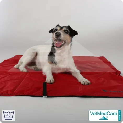 Animal Pad | stark isolierende Hundedecke Rot/Schwarz - auch für das Hundebett und Auto | VetMedCare®