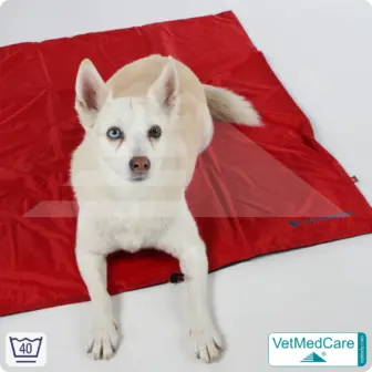 Animal Pad | highly insulating dog blanket red/black - also for the dog bed and car | VetMedCare® 14 Animal Pad | highly insulating dog blanket red/black - also for the dog bed and car | VetMedCare®