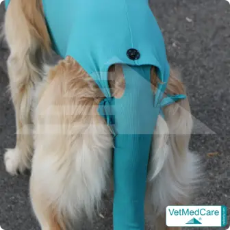 Snap fastener set | push buttons | black or transparent | VetMedCare® 10 Snap fastener set | black | VetMedCare®