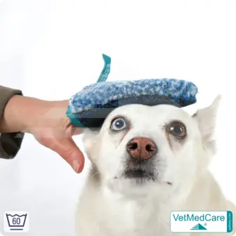 Coat care glove & Grooming Glove | glove like a dog brush for grooming dog, cat, horse and short-haired small animals | VetMedCare® 14 Grooming Glove | glove like a dog brush for grooming dog, cat, horse and short-haired small animals | VetMedCare®