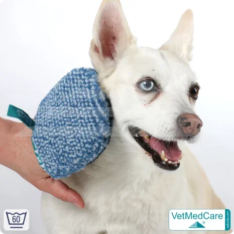 Handschuh als Hundebürste zur Fellpflege von Hund, Katze, Pferd und kurzhaariger Kleintiere | Grooming Glove | VetMedCare®