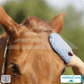 Coat care glove & Grooming Glove | glove like a dog brush for grooming dog, cat, horse and short-haired small animals | VetMedCare® 15 Grooming Glove | glove like a dog brush for grooming dog, cat, horse and short-haired small animals | VetMedCare®