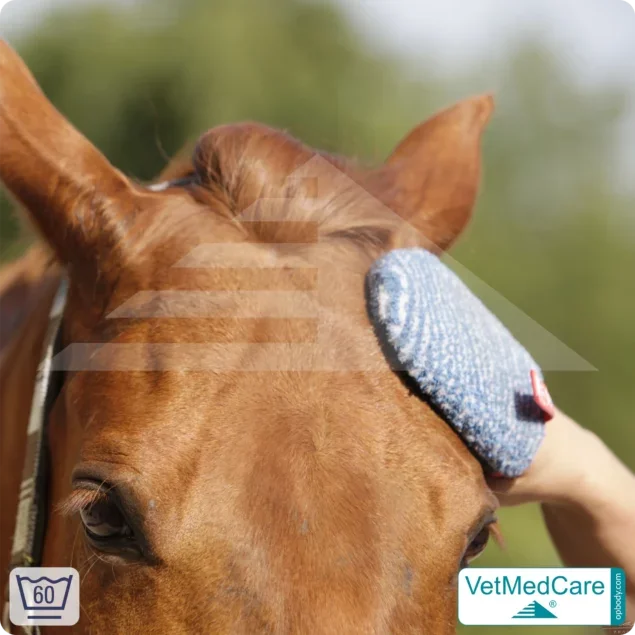 Handschuh als Hundebürste zur Fellpflege von Hund, Katze, Pferd und kurzhaariger Kleintiere | Grooming Glove | VetMedCare®