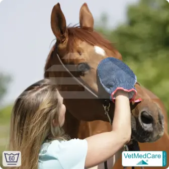 Coat care glove & Grooming Glove | glove like a dog brush for grooming dog, cat, horse and short-haired small animals | VetMedCare® 13 Grooming Glove | glove like a dog brush for grooming dog, cat, horse and short-haired small animals | VetMedCare®