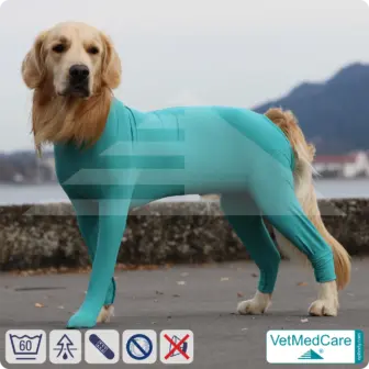 Dog bodysuit with legs | full body sweater / coat / jacket / hoodie - special for the male dog | VetMedCare®