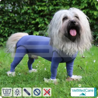 Dog bodysuit with legs | full body sweater / coat / jacket / hoodie - special for the male dog | VetMedCare® 15 Dog bodysuit with legs | full body sweater / coat / jacket / hoodie - special for the male dog | VetMedCare®
