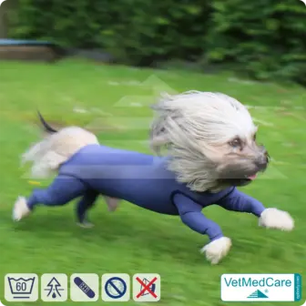 Dog bodysuit with legs | full body sweater / coat / jacket / hoodie - special for the male dog | VetMedCare® 17 Dog bodysuit with legs | full body sweater / coat / jacket / hoodie - special for the male dog | VetMedCare®