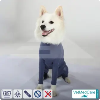 Dog bodysuit with legs | full body sweater / coat / jacket / hoodie - special for the male dog | VetMedCare® 11 Dog bodysuit with legs | full body sweater / coat / jacket / hoodie - special for the male dog | VetMedCare®