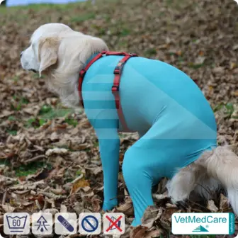 Dog bodysuit with legs | full body sweater / coat / jacket / hoodie - special for the male dog | VetMedCare® 16 Dog bodysuit with legs | full body sweater / coat / jacket / hoodie - special for the male dog | VetMedCare®