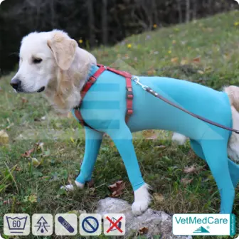 Dog bodysuit with legs | full body sweater / coat / jacket / hoodie - special for the male dog | VetMedCare® 14 Dog bodysuit with legs | full body sweater / coat / jacket / hoodie - special for the male dog | VetMedCare®