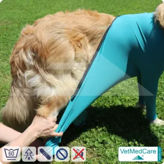 Dog bodysuit | pet shirt with legs + zipper | dog full body medical pet coat / jacket / recovery vest | VetMedCare® 16 Dog bodysuit pet shirt with legs + zipper | dog full body medical pet coat / jacket / recovery vest | VetMedCare®