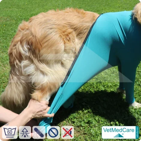 Hundebody mit Beinen + Reißverschluss | Hunde Body - Ganzkörperbody mit 4 Beinen | VetMedCare®