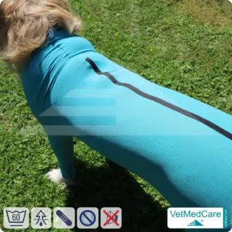 Dog bodysuit | pet shirt with legs + zipper | dog full body medical pet coat / jacket / recovery vest | VetMedCare® 12 Dog bodysuit pet shirt with legs + zipper | dog full body medical pet coat / jacket / recovery vest | VetMedCare®