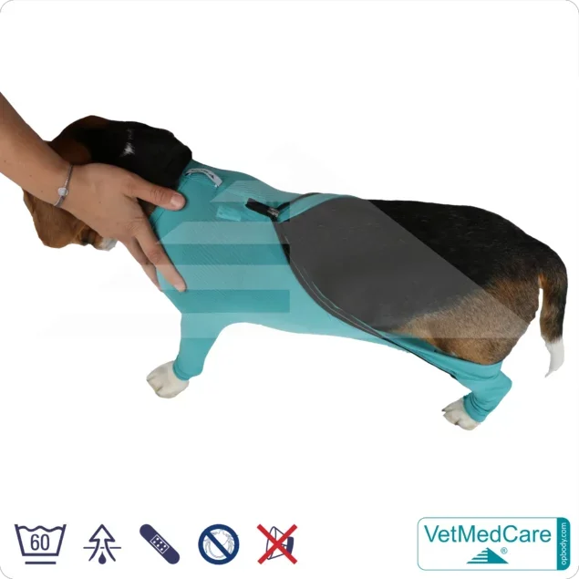 Hundebody mit Beinen + Reißverschluss | Hunde Body - Ganzkörperbody mit 4 Beinen | VetMedCare®