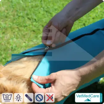 Dog bodysuit | pet shirt with legs + zipper | dog full body medical pet coat / jacket / recovery vest | VetMedCare® 14 Dog bodysuit pet shirt with legs + zipper | dog full body medical pet coat / jacket / recovery vest | VetMedCare®