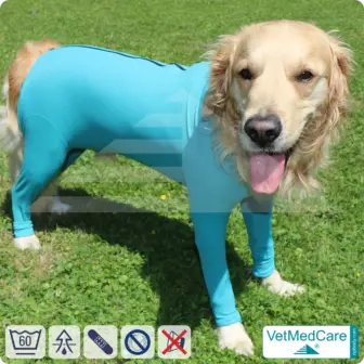 Dog bodysuit pet shirt with legs + zipper | dog full body medical pet coat / jacket / recovery vest | VetMedCare®