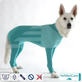 Dog bodysuit with legs | full body vest / coat / jacket / hoodie - especially for the female dog | VetMedCare® 14 Dog bodysuit with legs | full body vest / coat / jacket / hoodie - especially for the female dog | VetMedCare®