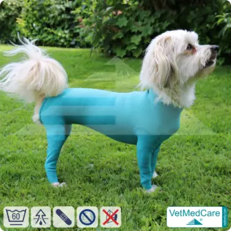 Dog bodysuit with legs | full body vest / coat / jacket / hoodie - especially for the female dog | VetMedCare® 21 Dog bodysuit with legs | full body vest / coat / jacket / hoodie - especially for the female dog | VetMedCare®
