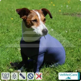 Dog bodysuit with legs | full body vest / coat / jacket / hoodie - especially for the female dog | VetMedCare® 20 Dog bodysuit with legs | full body vest / coat / jacket / hoodie - especially for the female dog | VetMedCare®