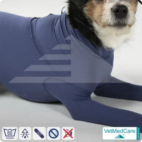 Hundebody für Hündin mit Läufen | Ganzkörperbody speziell für die Hündin | VetMedCare®