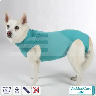 Dog suit / vest without legs | protective dog pet shirt / coat / jacket - especially for the female dog | VetMedCare® 14 Dog suit / vest without legs | protective dog pet shirt / coat / jacket - especially for the female dog | VetMedCare®
