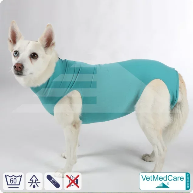 Hund OP Hundebody Female | speziell für die Hündin | VetMedCare®