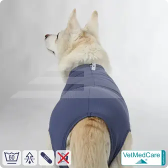 Dog suit / vest without legs | protective dog pet shirt / coat / jacket - especially for the female dog | VetMedCare® 11 Dog suit / vest without legs | protective dog pet shirt / coat / jacket - especially for the female dog | VetMedCare®