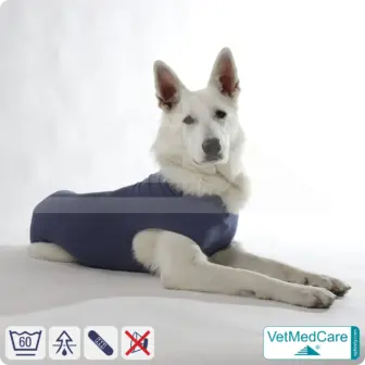 Dog suit / vest without legs | protective dog pet shirt / coat / jacket - especially for the female dog | VetMedCare® 16 Dog suit / vest without legs | protective dog pet shirt / coat / jacket - especially for the female dog | VetMedCare®