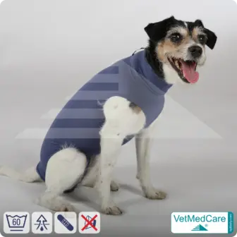 Dog suit / vest without legs | protective dog pet shirt / coat / jacket - especially for the female dog | VetMedCare® 13 Dog suit / vest without legs | protective dog pet shirt / coat / jacket - especially for the female dog | VetMedCare®