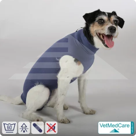 Hund OP Hundebody Female | Body speziell für die Hündin | VetMedCare®