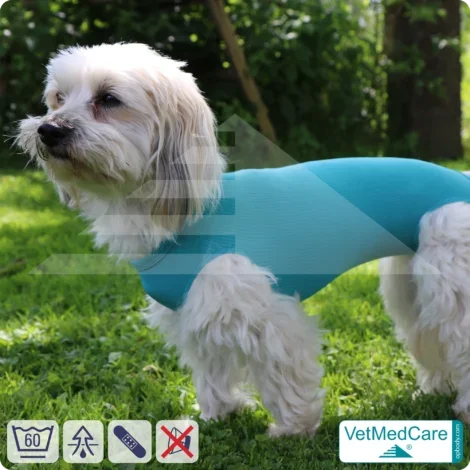 Hund OP Hundebody Female | Body speziell für die Hündin | VetMedCare®. Feedbild.