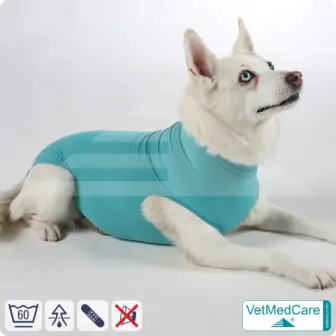 Dog suit / vest without legs | protective dog pet shirt / coat / jacket - especially for the female dog | VetMedCare® 10 Dog suit / vest without legs | protective dog pet shirt / coat / jacket - especially for the female dog | VetMedCare®
