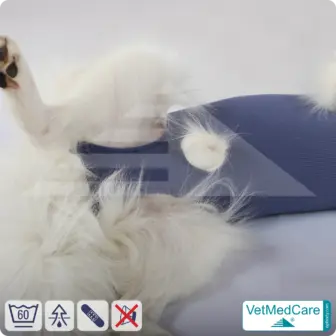 Dog bodysuit / vest without legs - protective dog pet shirt / coat / jacket | especially for the male dog | VetMedCare® 16 Dog suit / vest without legs - protective dog pet shirt / coat / jacket | especially for the male dog | VetMedCare®
