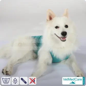 Dog bodysuit / vest without legs - protective dog pet shirt / coat / jacket | especially for the male dog | VetMedCare® 17 Dog suit / vest without legs - protective dog pet shirt / coat / jacket | especially for the male dog | VetMedCare®