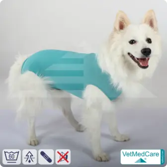 Dog suit / vest without legs - protective dog pet shirt / coat / jacket | especially for the male dog | VetMedCare®