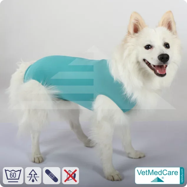 Hund OP Hundebody Male | Body speziell für den Rüden | VetMedCare®