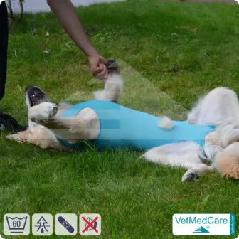 Dog bodysuit / vest without legs - protective dog pet shirt / coat / jacket | especially for the male dog | VetMedCare® 13 Dog suit / vest without legs - protective dog pet shirt / coat / jacket | especially for the male dog | VetMedCare®