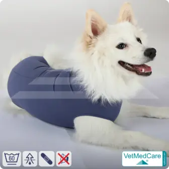 Dog suit / vest without legs - protective dog pet shirt / coat / jacket | especially for the male dog | VetMedCare®
