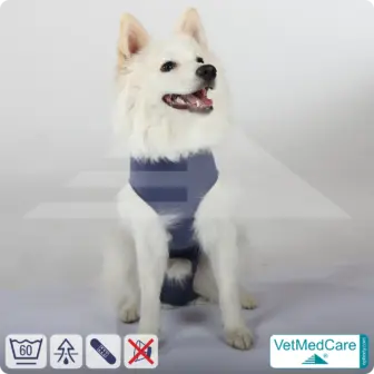 Dog bodysuit / vest without legs - protective dog pet shirt / coat / jacket | especially for the male dog | VetMedCare® 14 Dog suit / vest without legs - protective dog pet shirt / coat / jacket | especially for the male dog | VetMedCare®