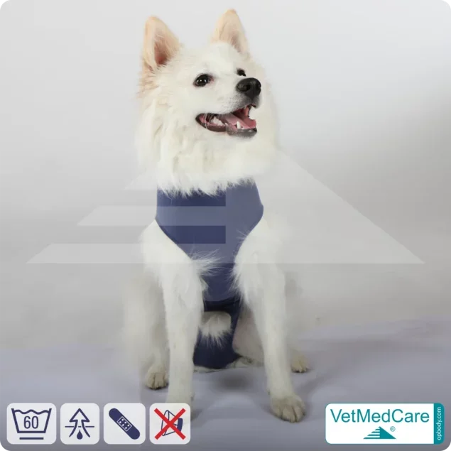 Hund OP Hundebody Male | speziell für den Rüden | VetMedCare®