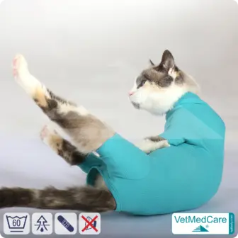 Cat bodysuit | recovery suit + wound protection specially developed for cats | VetMedCare® 16 Cat Bodysuit | Cat body + wound protection specially developed for cats | VetMedCare®