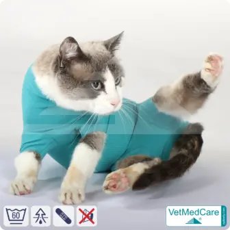 Cat bodysuit | recovery suit + wound protection specially developed for cats | VetMedCare® 13 Cat Bodysuit | Cat body + wound protection specially developed for cats | VetMedCare®