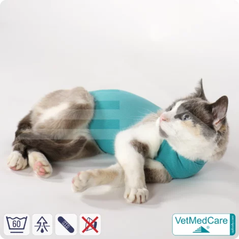 Cat bodysuit | recovery suit + wound protection specially developed for cats | VetMedCare® 18 Cat Bodysuit | Cat body + wound protection specially developed for cats | VetMedCare®